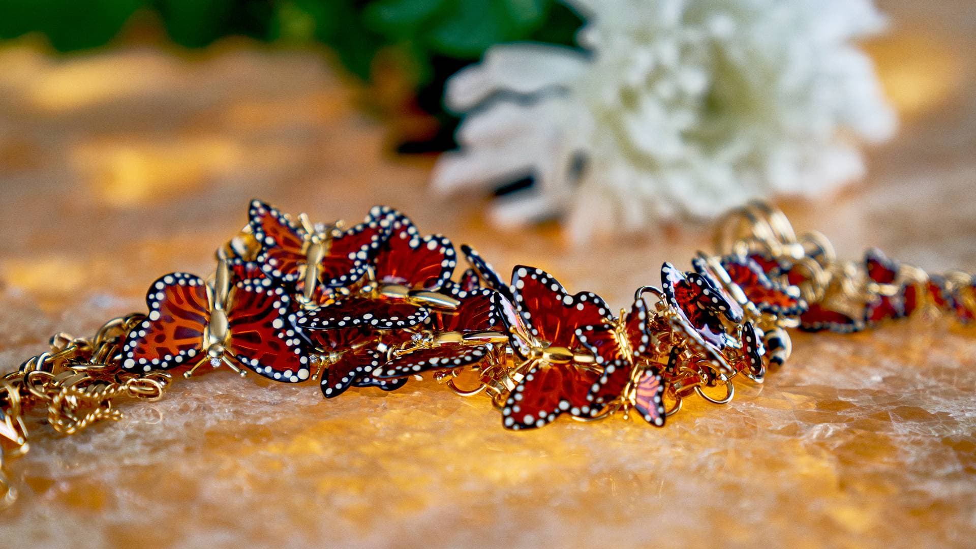 Monarch Butterfly