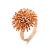 HEDGEHOG RING 1