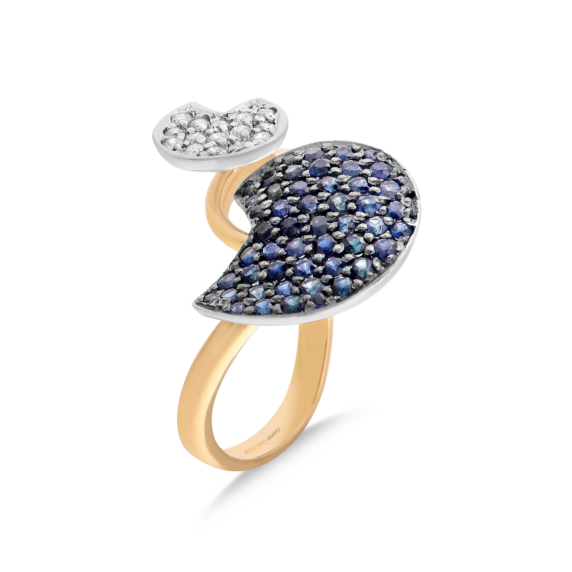 SWAN LAKE RINGS
